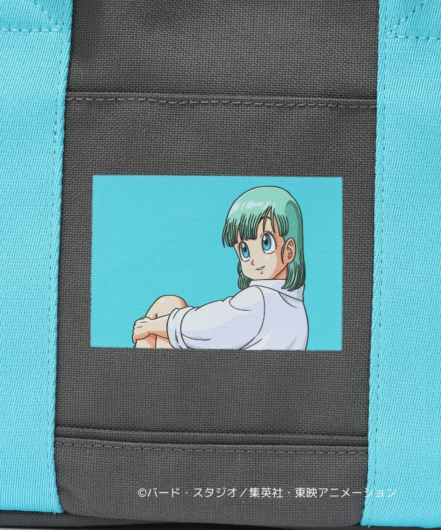 【TMT×DRAGON BALL】トートバック（小）ブルマ TMT×DRAGON BALL】トートバック（小） – TMT OFFICIAL ONLINE STORE