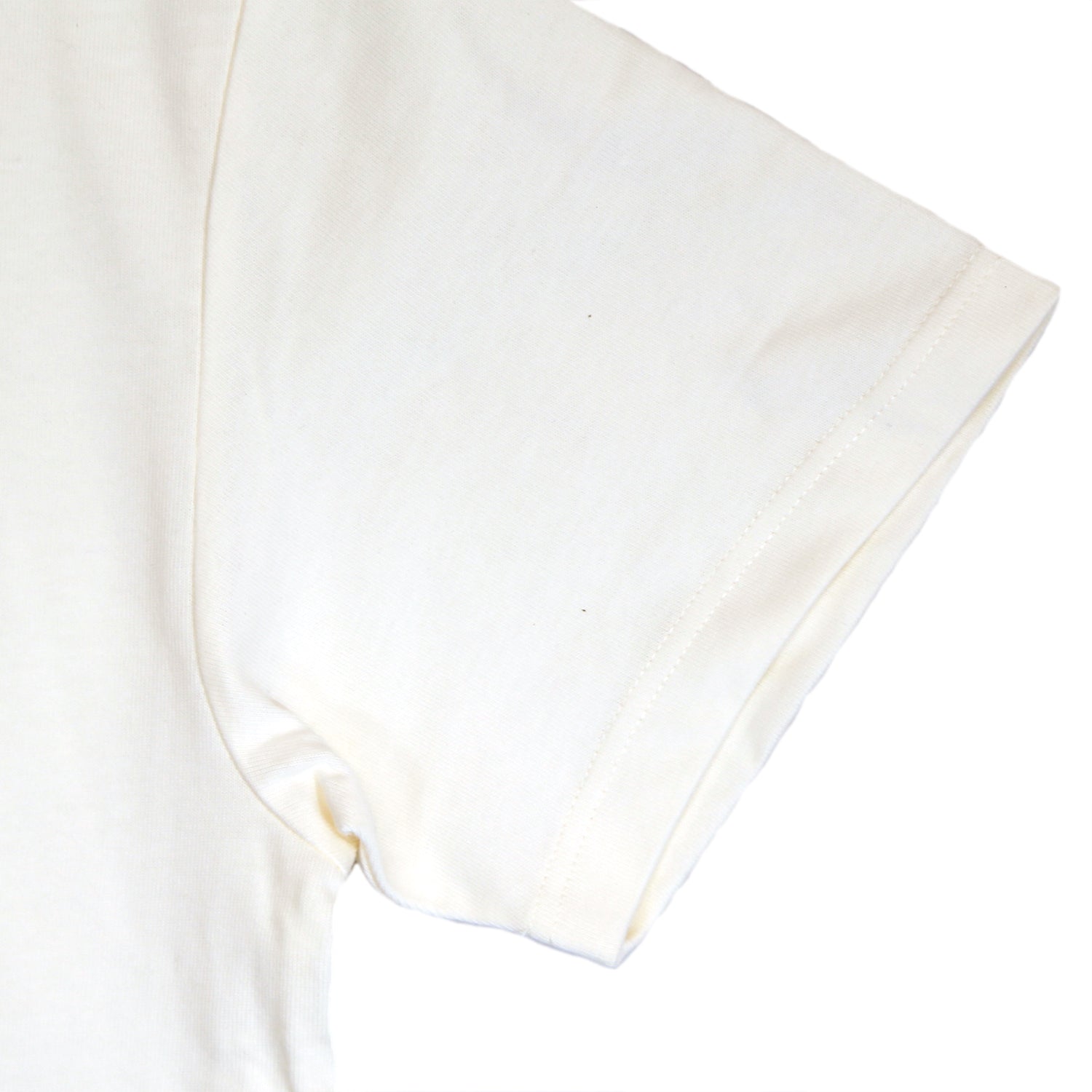 HEAVY ORGANIC COTTON JERSEYS/SL TEE(SANTO DOMINGO)／WHITE – TMT