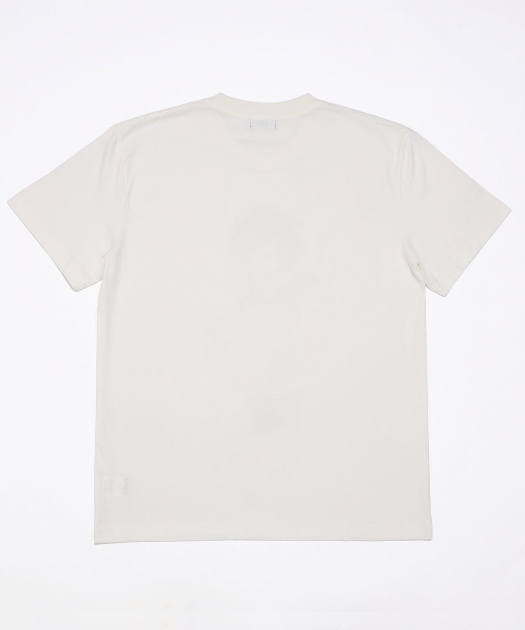 【TMT×DRAGON BALL】  コットンTシャツ（悟空）